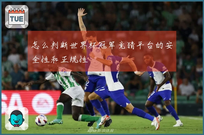 怎么判断世界杯冠军竞猜平台的安全性和正规性