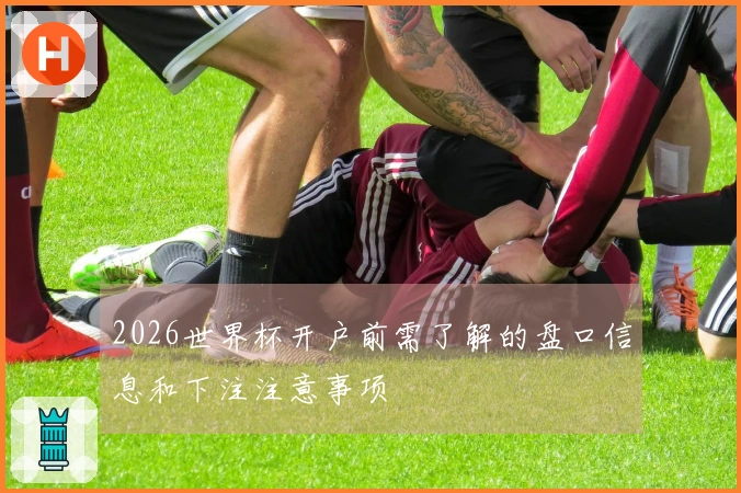 2026世界杯开户前需了解的盘口信息和下注注意事项